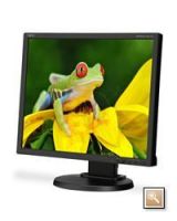 monitory LCD 24
